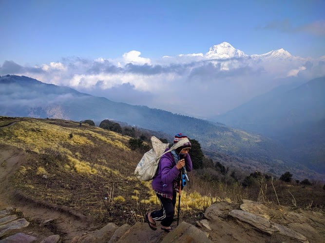 7 Crucial Reasons to Use Trekking Poles On Your Next Hiking Trip