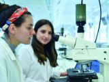 What Are the General Entry Requirements to Study a Natural Sciences Degree Within the UK?